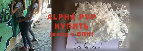 стаф Магас
