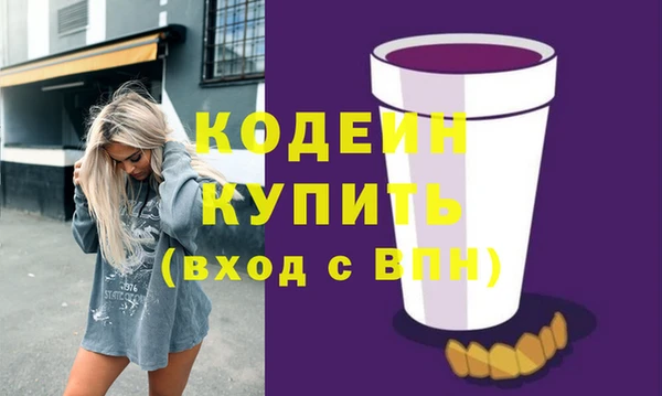 стаф Магас
