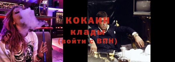 стаф Магас
