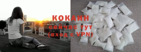 стаф Магас