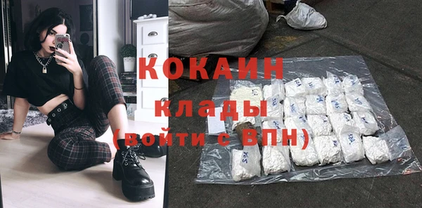 стаф Магас