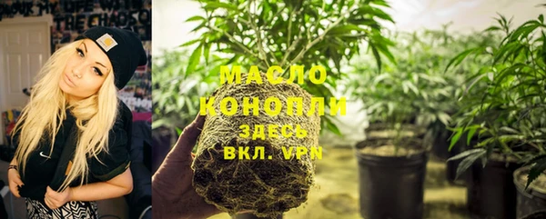 стаф Магас