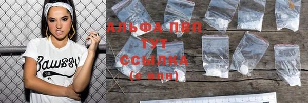 стаф Магас