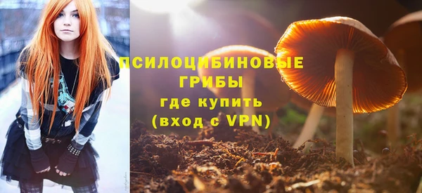 mdpv Магадан