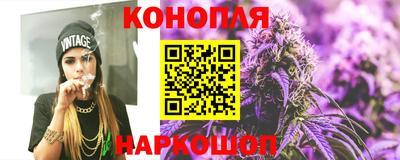 мяу мяу мука Канаш