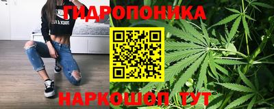 мяу мяу мука Канаш