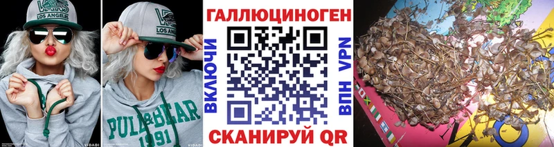 Галлюциногенные грибы Cubensis Минеральные Воды