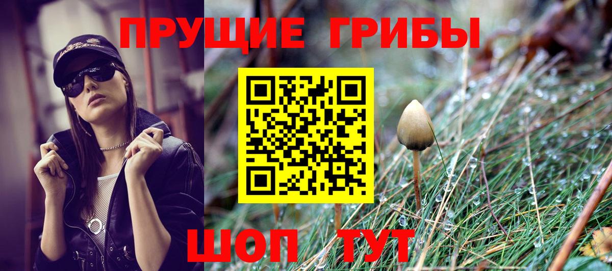 Галлюциногенные грибы GOLDEN TEACHER  Галлюциногенные грибы GOLDEN TEACHER  Минеральные Воды 