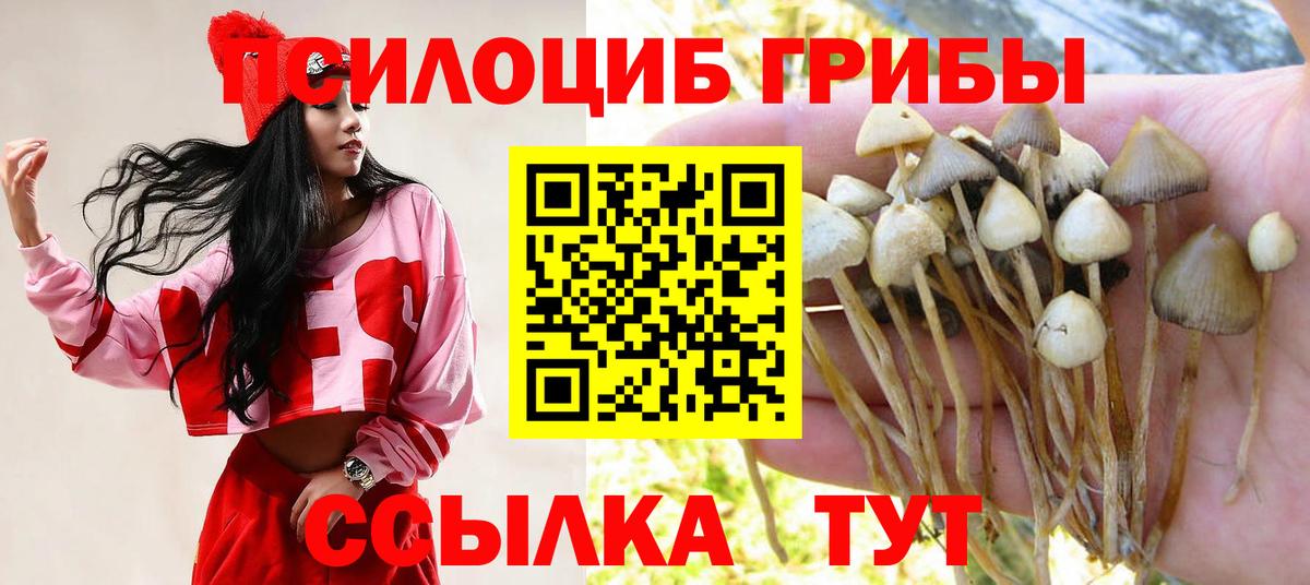 Минеральные Воды  купить  сайты  Вход с VPN  Галлюциногенные грибы ЛСД 